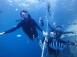【關島Guan】來趟最美好的體驗潛水吧,關島不只免稅店!｜自由行6日(不含機票,附全套潛水裝備/岸潛船潛體驗各1支)