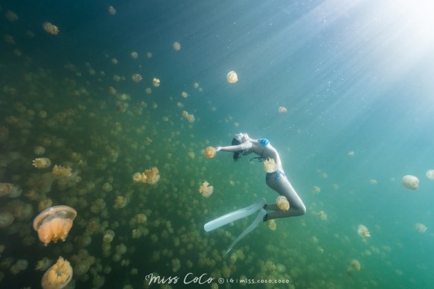 説走就走~帛琉自潛/浮潛4天3夜（Miss CoCo水下攝影，幫您留下美好回憶） 2