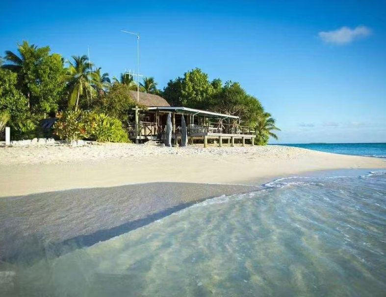 斐濟公牛鯊+東加大翅鯨 10天  2