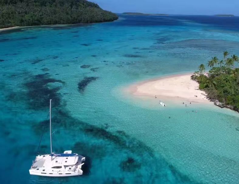 斐濟公牛鯊+東加大翅鯨 10天  3