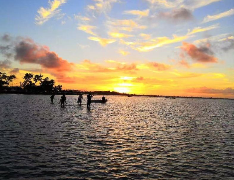 斐濟公牛鯊+東加大翅鯨 10天  4