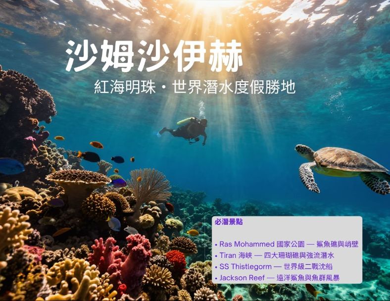 埃及紅海沙姆沙伊赫潛水5日（潛水4天，住宿度假村4晚~非船宿） 1