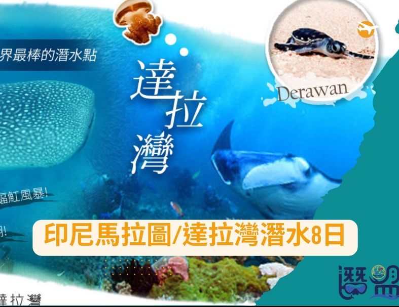 2026一定要去的~印尼馬拉圖/達拉灣潛水8日 1