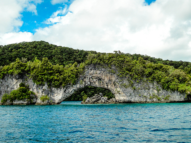 【帛琉Palau】五天潛旅自由行(每周六出發,2人成行)不含機票 5