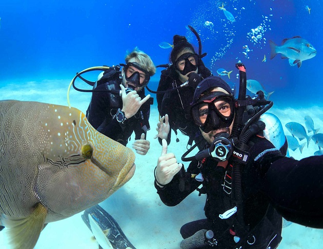 【澳洲凱恩斯大堡礁】Great Barrier Reef大堡礁豪華船宿船潛｜自由行8日,船宿3天(不含機票) 9