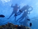 墾丁自由潛水、水肺體驗、三地門禮納里部落研習旅遊3天｜6人起成行｜出團日: 2021年5月起每周四出發