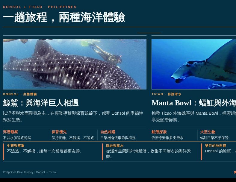 菲律賓Donsol＋Ticao~ 尋找海洋巨人潛水5日 1