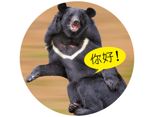 台灣