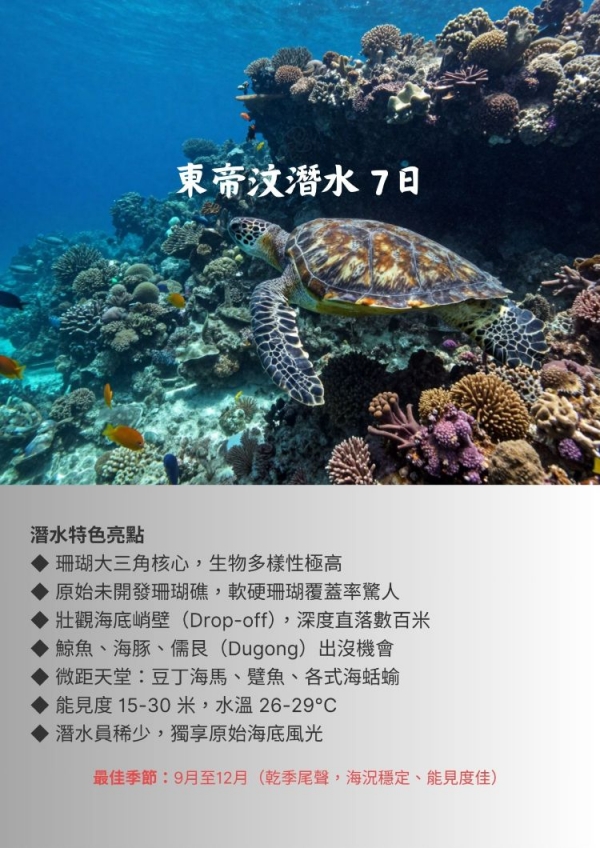 秘境東帝汶潛水觀鯨7日