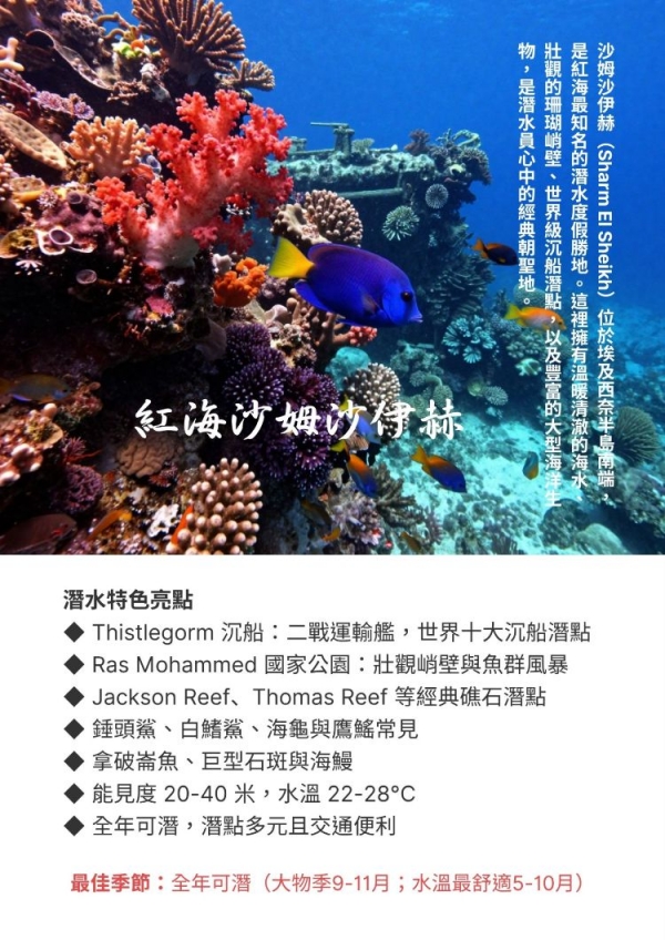 A埃及紅海沙姆沙伊赫潛水5日（潛水4天，住宿度假村4晚~非船宿） - 複製