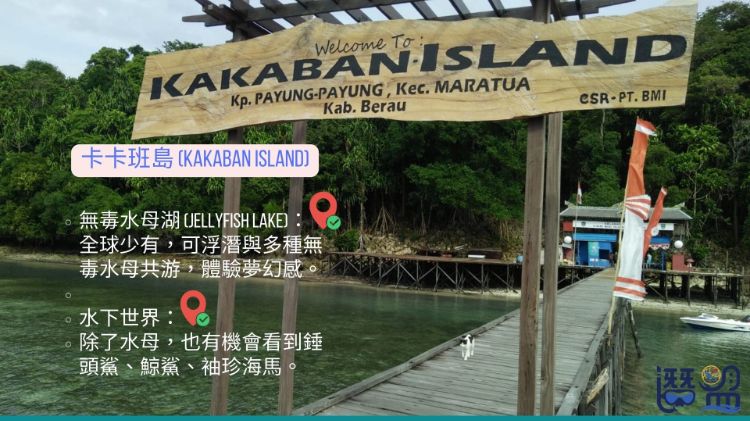 2026一定要去的~印尼馬拉圖/達拉灣潛水8日