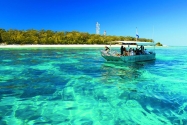 【澳洲伊莉特夫人島】Lady Elliot Island公認最佳潛水點,世界最完整珊瑚礁｜自由行9日(不含機票)
