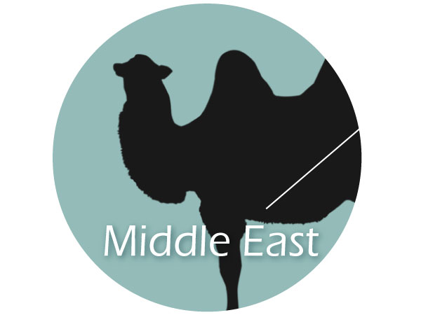 中東