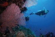【澳洲凱恩斯大堡礁】Great Barrier Reef大堡礁豪華船宿,雨林中探險新世界｜自由行8日,船宿5天(不含機票)