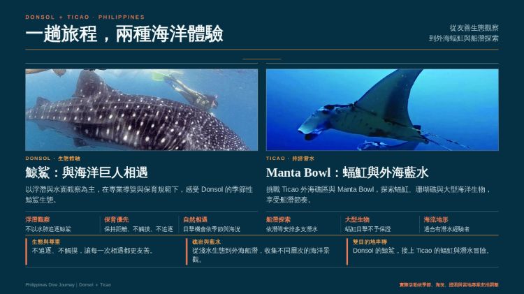 菲律賓Donsol＋Ticao~ 尋找海洋巨人潛水5日
