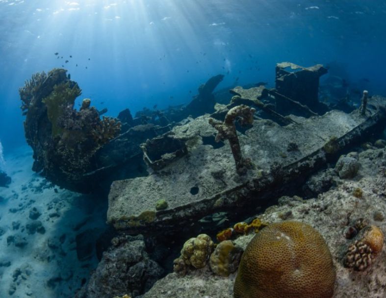 2027菲律賓圖巴塔哈船宿潛水7日 3