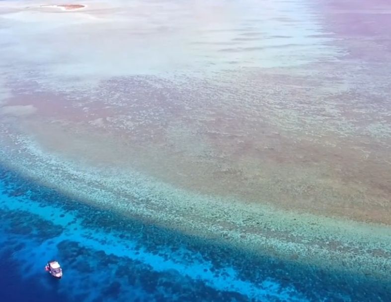 2027菲律賓圖巴塔哈船宿潛水7日 4