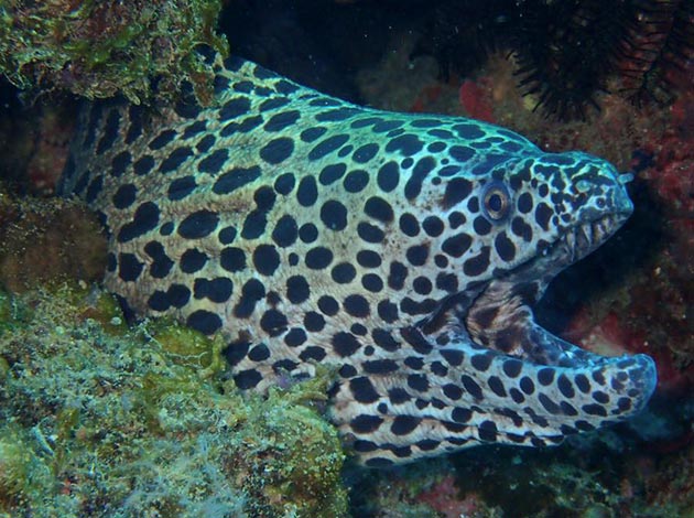 南臺灣-墾丁後壁湖 3