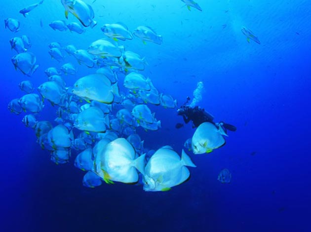 馬來西亞-西巴丹 3