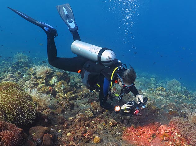 北台灣-蝙蝠洞 1