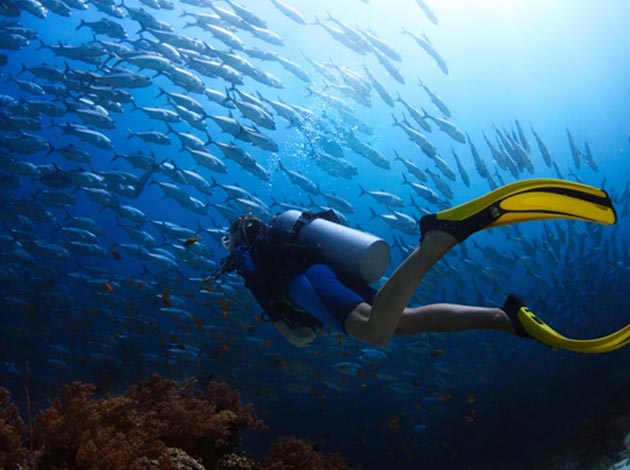 馬來西亞-西巴丹 1