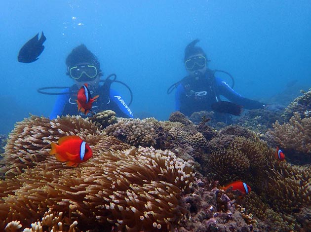 南臺灣-墾丁後壁湖 4