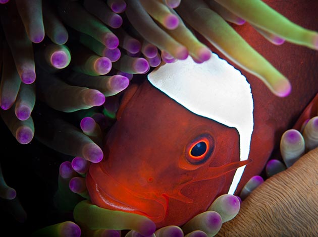 北台灣-蝙蝠洞 2