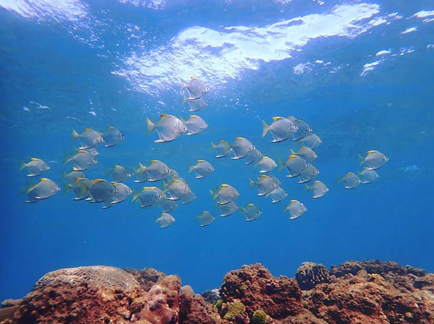 南臺灣-墾丁後壁湖 1