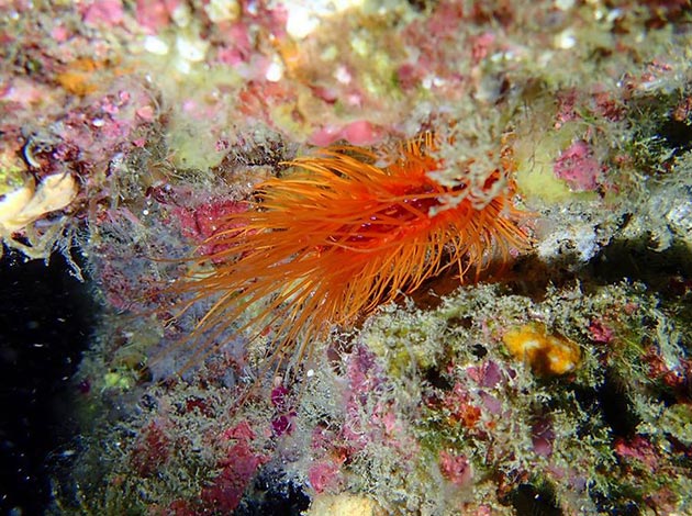 南臺灣-墾丁後壁湖 2