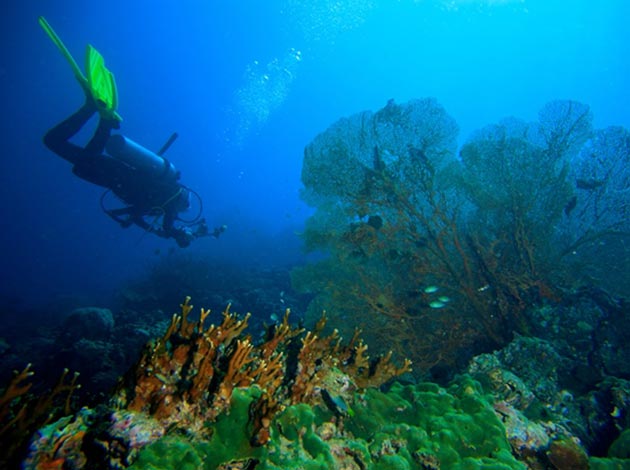 馬來西亞-西巴丹 5